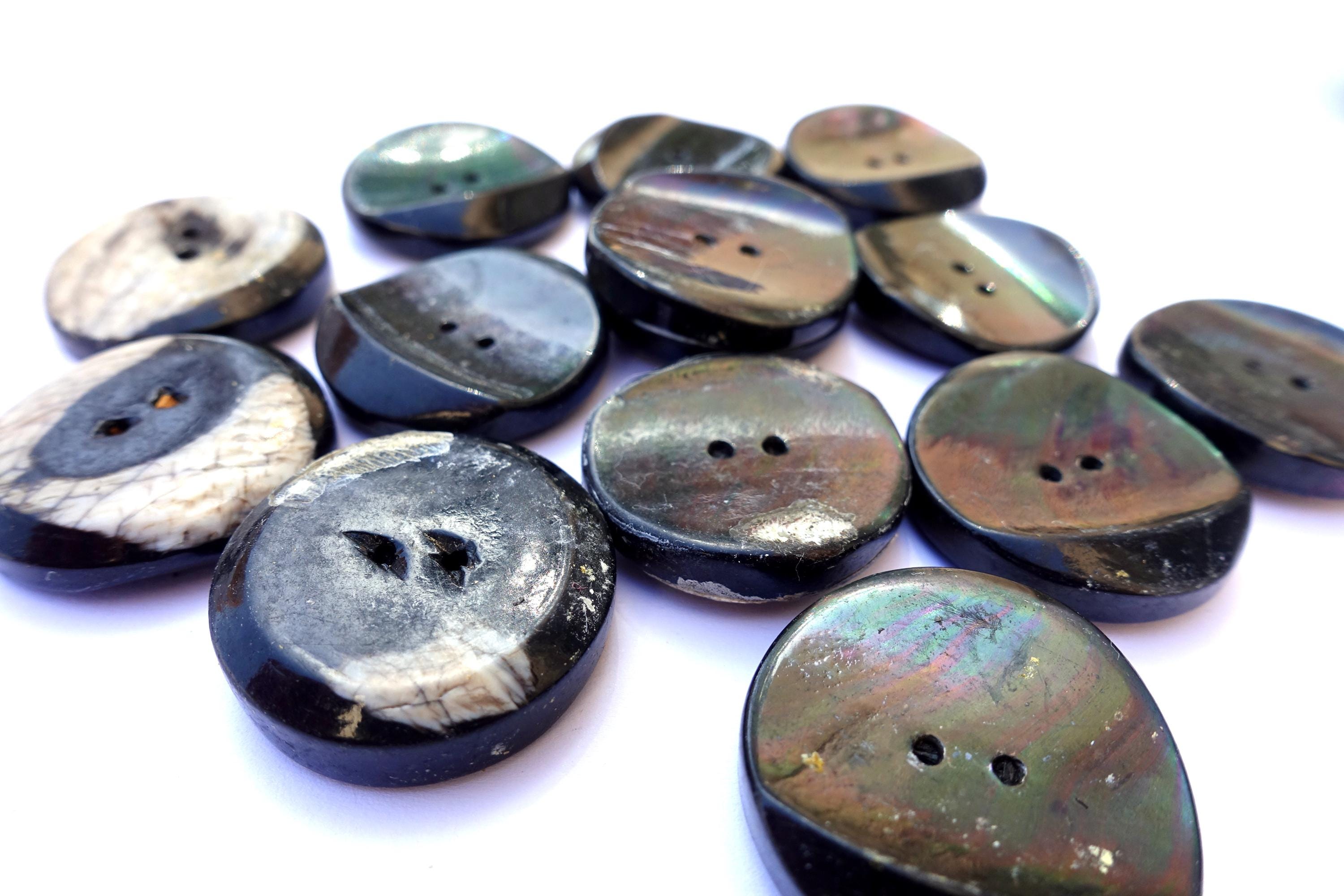 Black Shell Button 6pcs Antique Vintage Black Shell Buttons Few Sizes, Rare-select Size ...