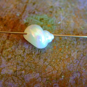30 Cuentas vintage de lucita blanca perlada con forma de concha de 18 mm de largo