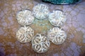 6 Antique vintage glass buttons, four petal flower shape product logo