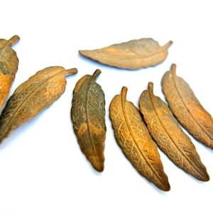 May include: Eight small, intricately detailed, metal leaves in a rusty brown color. The leaves are arranged in a semi-circle on a white background.