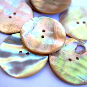 Antique vintage shell buttons white with inner colors, 31mm, rare-select quantity