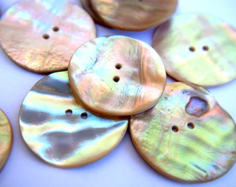 Antieke vintage schelpknopen wit met binnenkleuren, 31 mm, zeldzame hoeveelheid: selecteer aantal