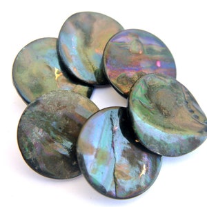 6 Antique vintage shell buttons black with inner colors, rare-select size