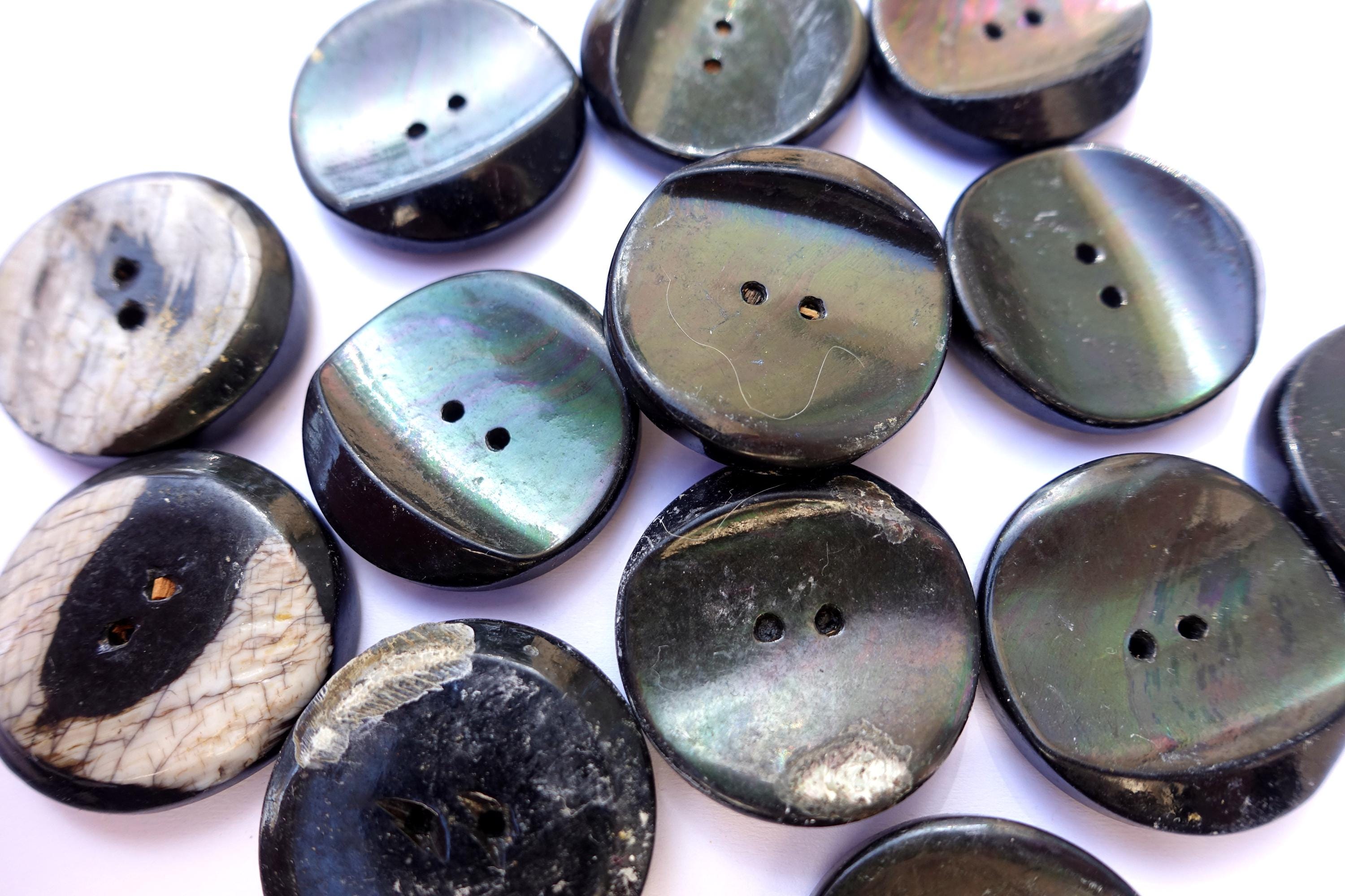 Black Shell Button 6pcs Antique Vintage Black Shell Buttons Few Sizes, Rare-select Size ...
