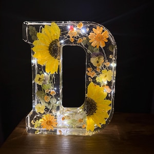 Luz inicial de la flor