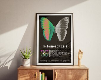 Plakat Metamorfozy Żywa sztuka ścienna Kolorowy wzór motyla