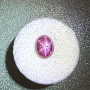 May include: A polished, oval-shaped star ruby gemstone with a deep magenta-pink hue. The stone features a distinct six-rayed star effect, known as asterism, centered on its smooth, cabochon-cut surface, resting within a circular white foam insert.