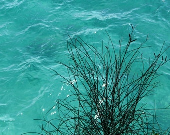 Water Photography, Beach Photography, Croatia Photography, Swimming, Blue Water, Adriatic Sea, Opatija