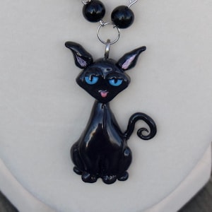 May include: A black cat pendant necklace with a glossy finish. The cat has blue eyes, pink inner ears, and a curled tail. The necklace features black beads and a silver-tone chain.