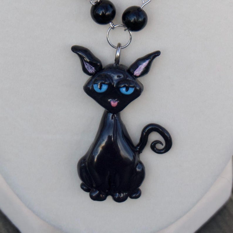 May include: A black cat pendant necklace with a glossy finish. The cat has blue eyes, pink inner ears, and a curled tail. The necklace features black beads and a silver-tone chain.