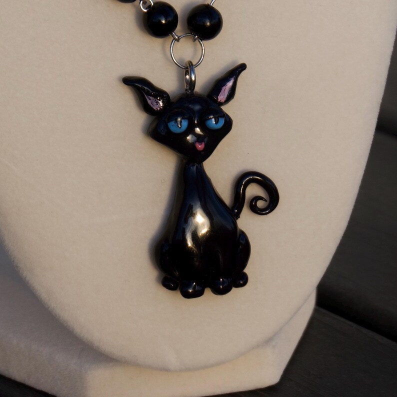 May include: A black cat pendant necklace. The pendant is a stylized cat with blue eyes and a pink tongue. The cat is glossy and has a curled tail. The necklace has black beads and a silver-tone chain.