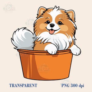 Spitz Pommern in einem Eimer PNG, T-Shirt Sublimation, Hundeliebhaber PNG, Welpen Clipart, Kindergarten, süßer Spitz