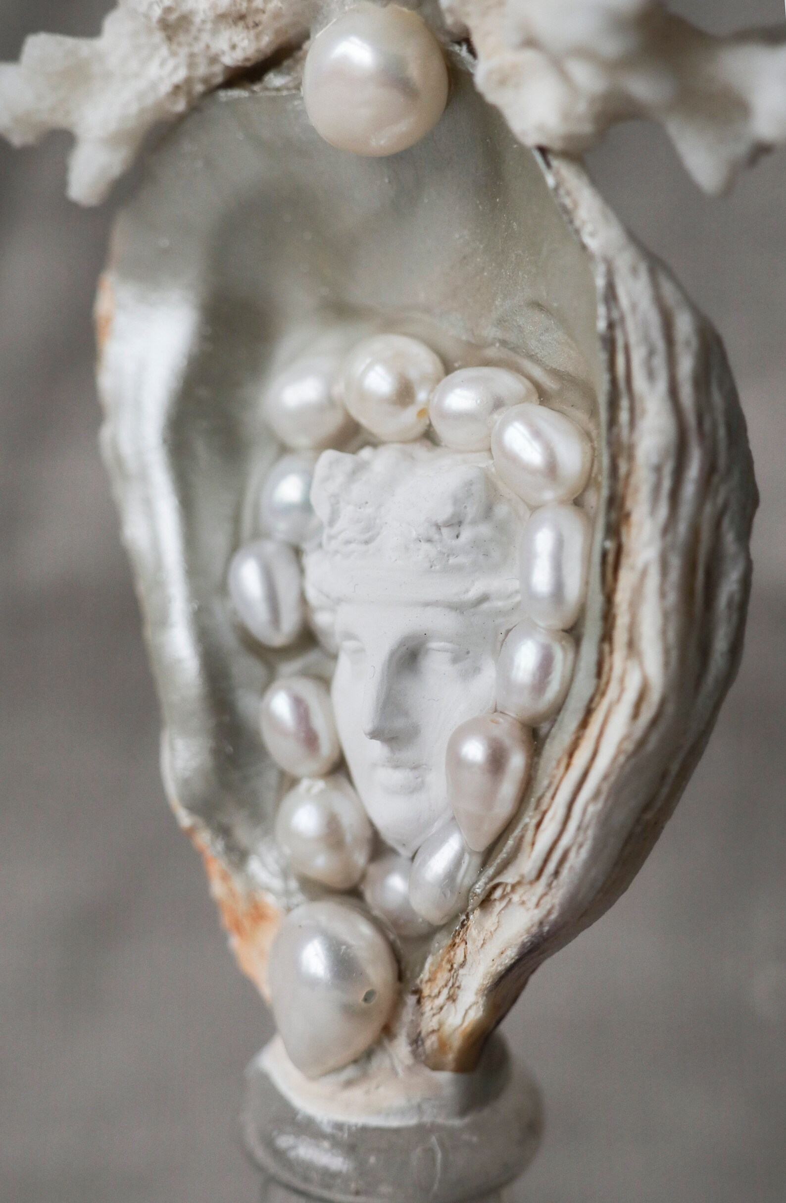 Venus in a Shell Goddess of Beauty From the Sea Reliquary Etsy
