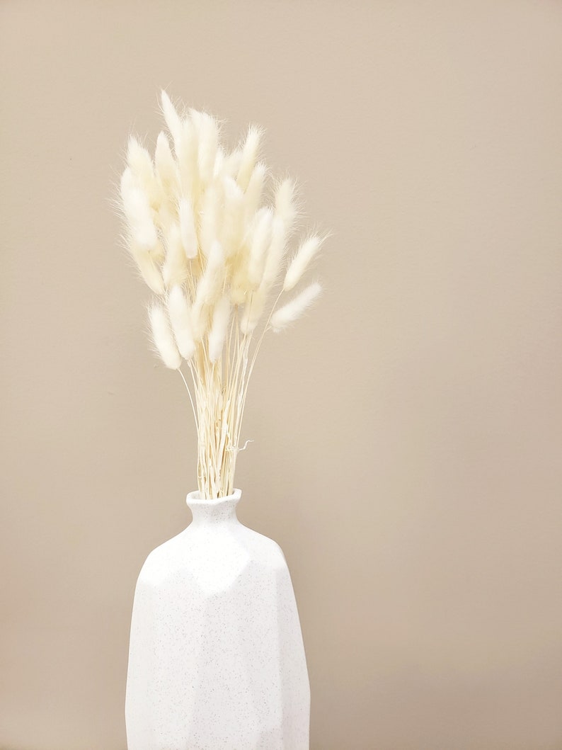 Bunny Tail Grass Known as Lagurus in Dried Flower Vase for Etsy