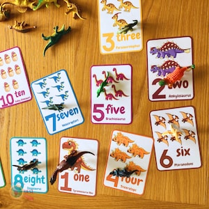 Carte de comptage de dinosaures, activité d'apprentissage des mathématiques pour les enfants d'âge préscolaire, cartes flash chiffres pour tout-petits, livre chargé, école à la maison Montessori, téléchargement immédiat