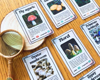 12 Mushrooms Cards for Kids, Fungi Identification for Children, Homeschool Activities, Study Set for Nature Explorers, INSTANT DOWNLOAD PDF