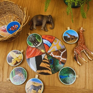 May include: A colourful spinning wheel game with animal and nature themed cards. The cards feature images of a tiger, peacock, zebra, elephant, giraffe, fish, and a snake. The cards are arranged in a circle around a central spinning wheel.