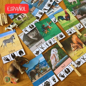 20 carte con impronte di animali stampabili in spagnolo, schede di identificazione delle tracce della natura, attività di homeschooling Montessori, DOWNLOAD IMMEDIATO