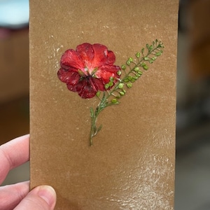 Freshly pressed flower blank greeting card real flowers blank inside