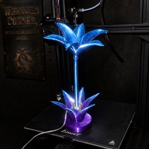 Eternal Flower: Illuminated Color-Shifting Translucent 3D Print Display