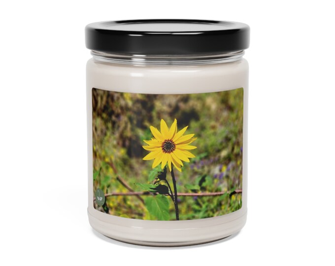 Prairie Sunflower - Scented Soy Candle, 9oz
