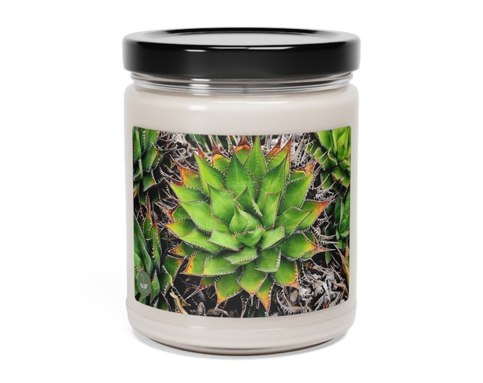 Agave Shawii - Scented Soy Candle, 9oz