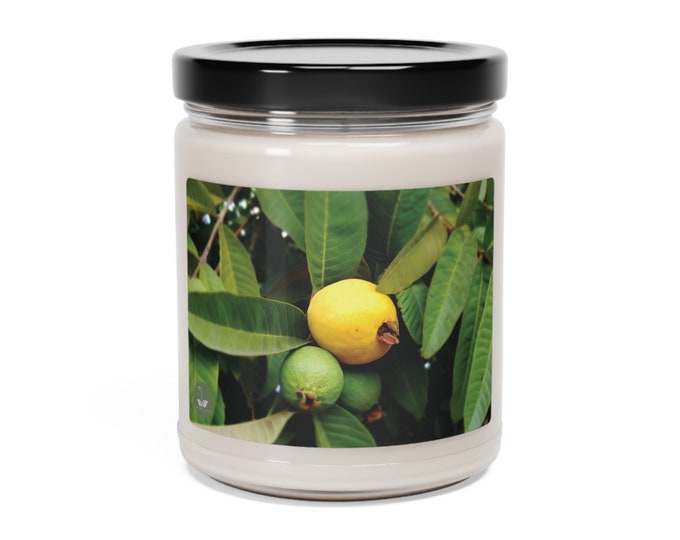 Psidium Guajava - Scented Soy Candle, 9oz