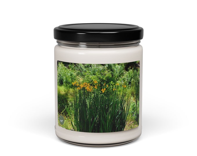 Yellow Flag - Scented Soy Candle, 9oz