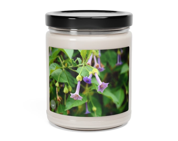 Cestrum Elegans - Scented Soy Candle, 9oz