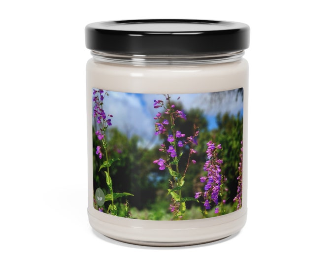 Pentsemon Spectabilis - Scented Soy Candle, 9oz