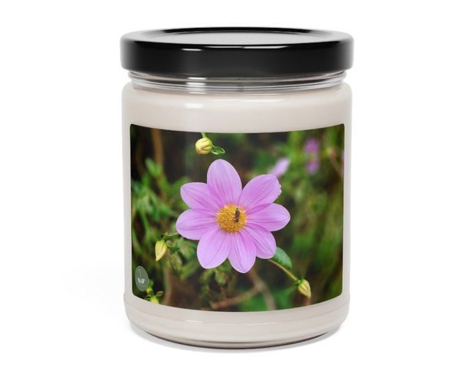 Dahlia Pinnata - Scented Soy Candle, 9oz
