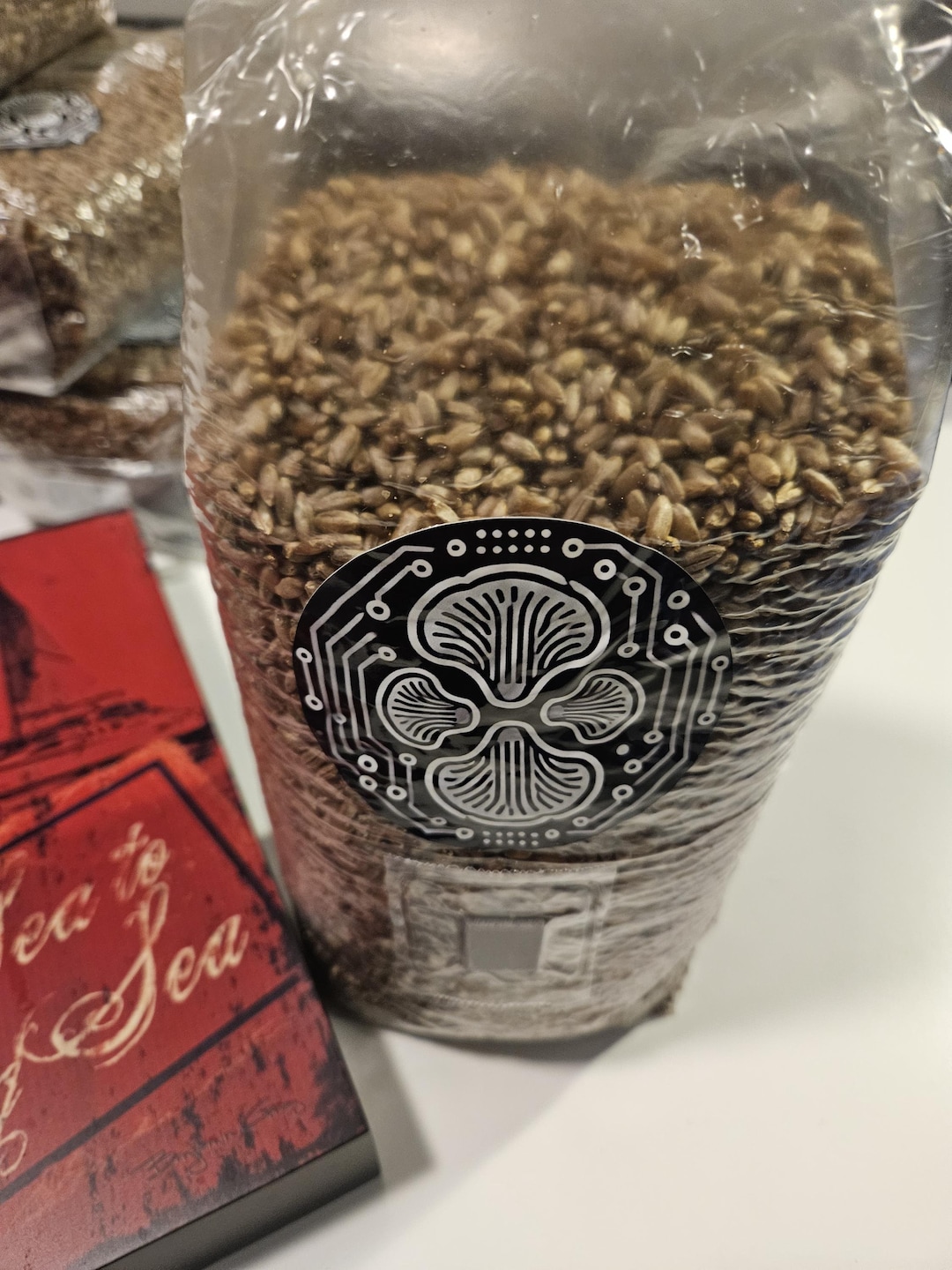 2lb Rye Grain Bag W/ Injection Port - Soaked, Simmered, Sterilized and ...
