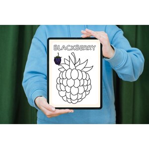 Puede incluir: Dibujo en blanco y negro de una mora en un fondo blanco. La palabra "BLACKBERRY" est&aacute; escrita en negro en la parte superior de la imagen.