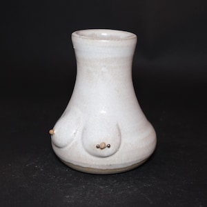 Peut inclure: Un vase en céramique blanc avec un corps arrondi et un col étroit. Le vase présente deux protubérances en forme de seins avec de petits détails ronds. Le vase a une finition mate et une base marron clair.