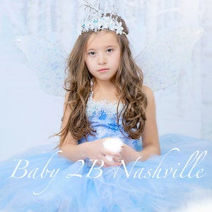 Winter Snow Fairy Costume Icy Fairy Snow Princess Costume Complete Set image 2