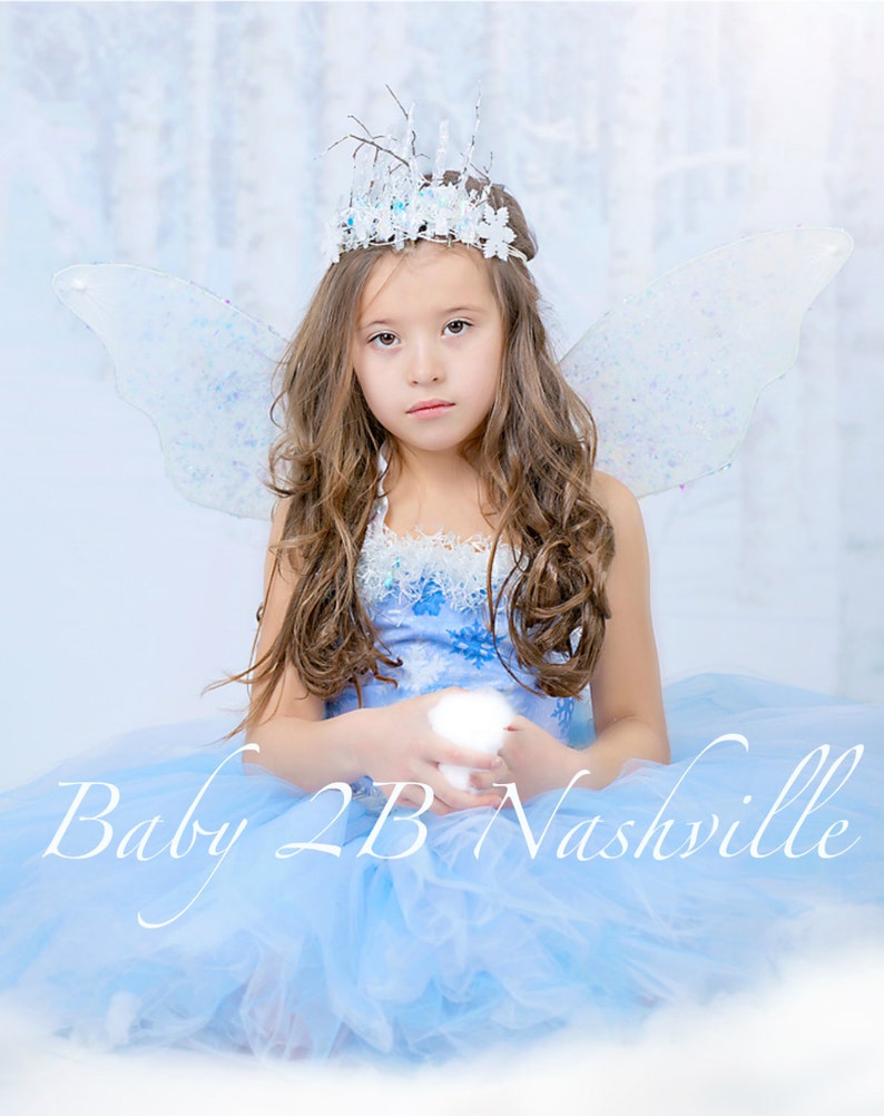 Winter Snow Fairy Costume Icy Fairy Snow Princess Costume Complete Set image 2