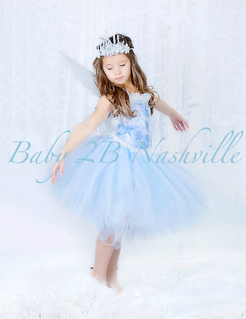 Winter Snow Fairy Costume Icy Fairy Snow Princess Costume Complete Set image 1