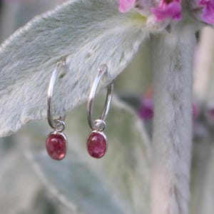 Op de afbeelding: Een paar zilveren creolen met kleine roze edelsteen hangers. De oorbellen zijn gefotografeerd tegen een zachte, pluche, groene achtergrond.