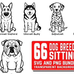 May include: A collection of black and white illustrations of dog breeds, such as a German Shepherd, Siberian Husky, Dalmatian, and Labrador Retriever. Other breeds include a Doberman Pinscher, Bulldog, Pug, Beagle, French Bulldog, Golden Retriever, Rottweiler, and Poodle. Text reads "66 Dog Breeds Sitting SVG and PNG Bundle Transparent Background."