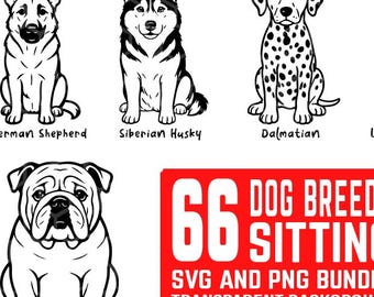 66 design di razze di cani seduti in formato SVG e PNG / Silhouette di razze di cani e file di taglio SVG per Cricut / Clipart di razze di cani in formato Bundle