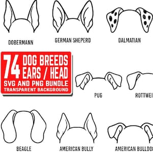 May include: A collection of line art illustrations of dog ears, including breeds like Dobermann, German Shepherd, and Dalmatian. A red rectangle displays the text "74 DOG BREEDS EARS / HEAD SVG AND PNG BUNDLE TRANSPARENT BACKGROUND".
