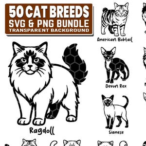 50 Cat Breeds SVG and PNG Bundle Designs | Cat Breeds Silhouette and SVG Cutfiles for cricut | Cat Breeds laser cut, vector | Commercial Use