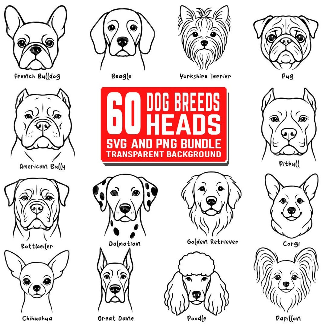 60 Dog Breeds Heads SVG and PNG Bundle Designs | Dog Breeds Heads ...