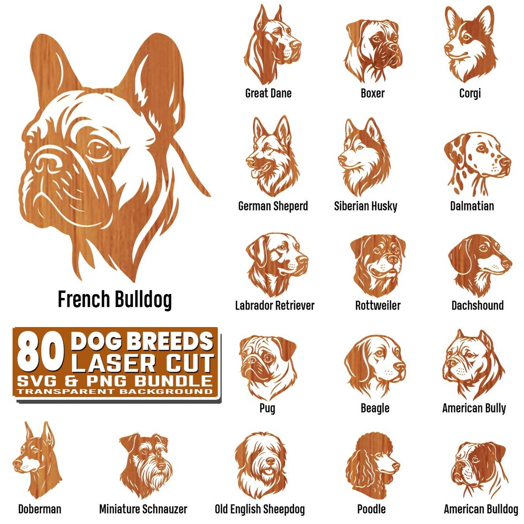 80 Dog Breeds Heads SVG and PNG Bundle Designs | Dog Breeds Heads ...