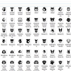 Pu&ograve; includere: Illustrazioni in bianco e nero di varie razze di cani, tra cui l'Affenpinscher, l'American Bulldog, l'Australian Shepherd, il Beagle, il Bloodhound, il Border Collie, il Bulldog, il Cavalier King Charles Spaniel e il Chihuahua.