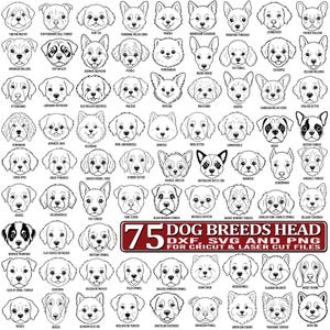 May include: A collection of 75 black and white line art illustrations of various dog breed heads arranged in a grid. Each dog head is labelled with its breed name underneath. A rectangular banner at the bottom reads 75 DOG BREEDS HEAD DXF, SVG AND PNG FOR CRICUT & LASER CUT FILES.