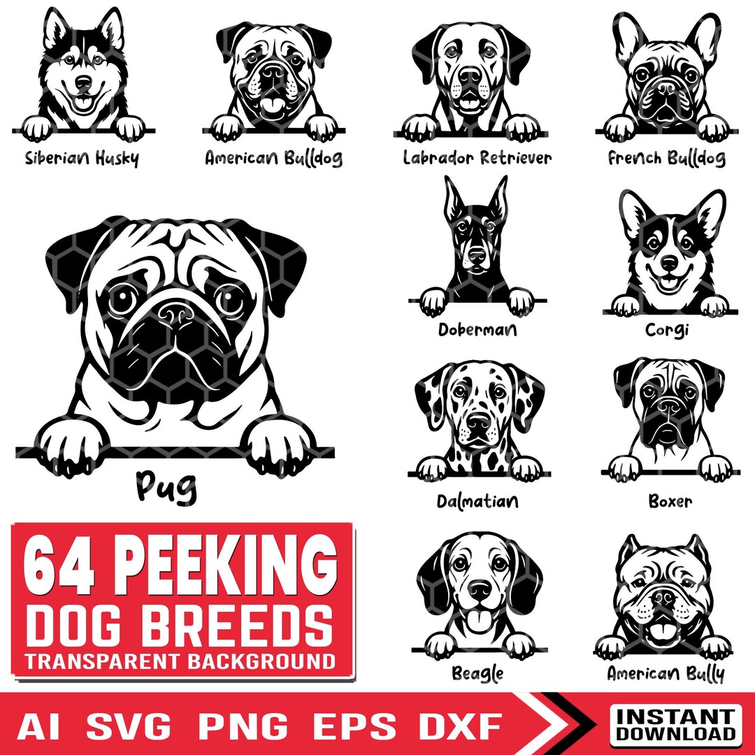 82 Peeking Dog Breeds SVG and PNG Bundle Design | Dog Breeds Silhouette ...