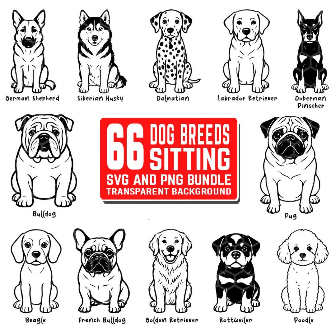 66 Sitting Dog Breeds SVG and PNG Bundle Designs | Dog Breeds ...
