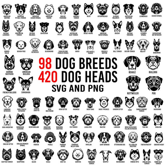 Dog Breeds SVG PNG Bundle | Dog Heads svg png bundle | Dog Heads svg cutfiles for cricut | Dog Breeds Clipart | Commercial use