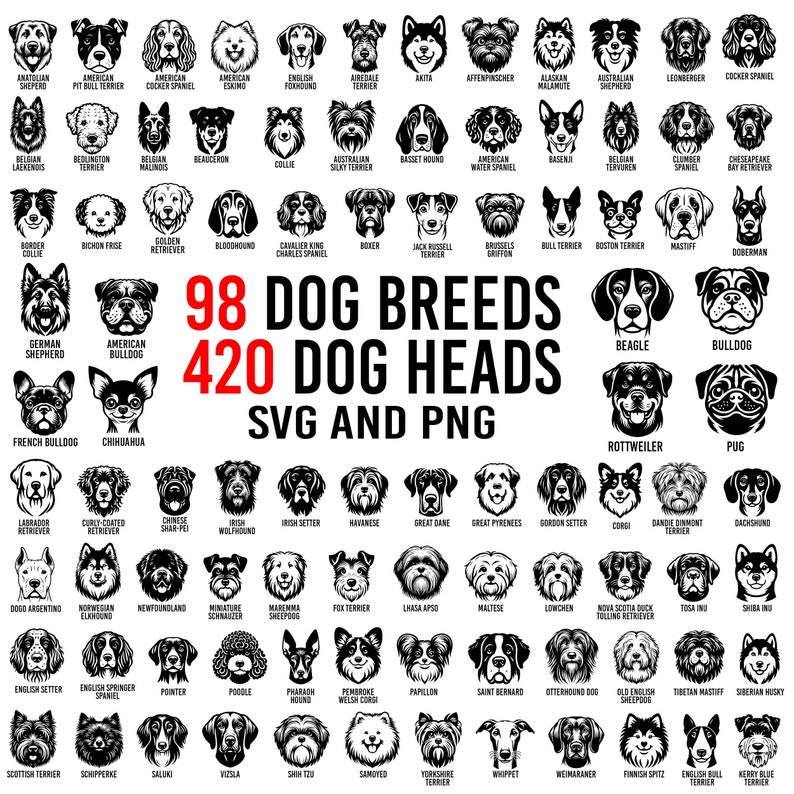 Pacchetto SVG PNG razze di cani / Pacchetto png svg teste di cane / File di taglio svg teste di cane per cricut / Clipart razze di cani / Uso commerciale immagine 1